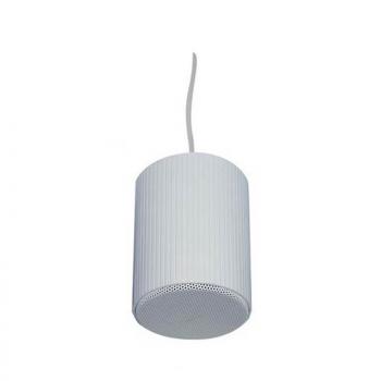 Loa treo trần APlus A-501H