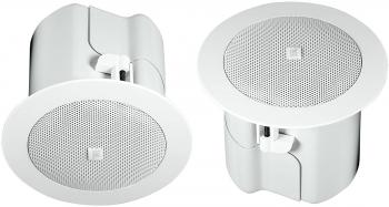 Loa vệ tinh JBL Prefessional Control 42C