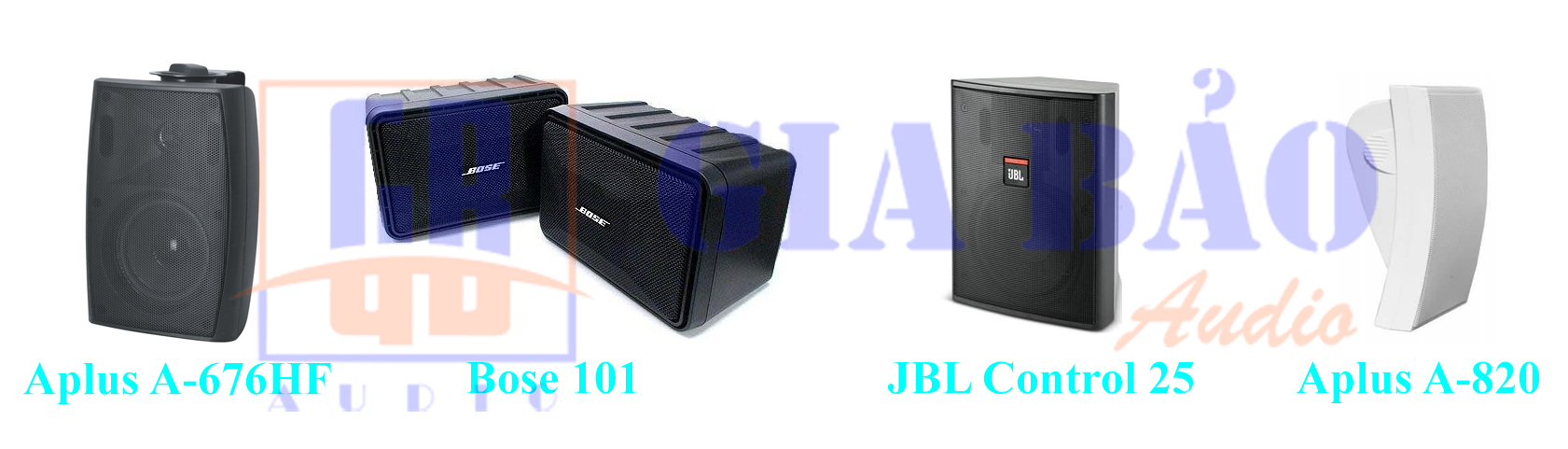 Lắp Đặt Âm Thanh Thông Báo Chia Vùng Cho Bệnh Viện